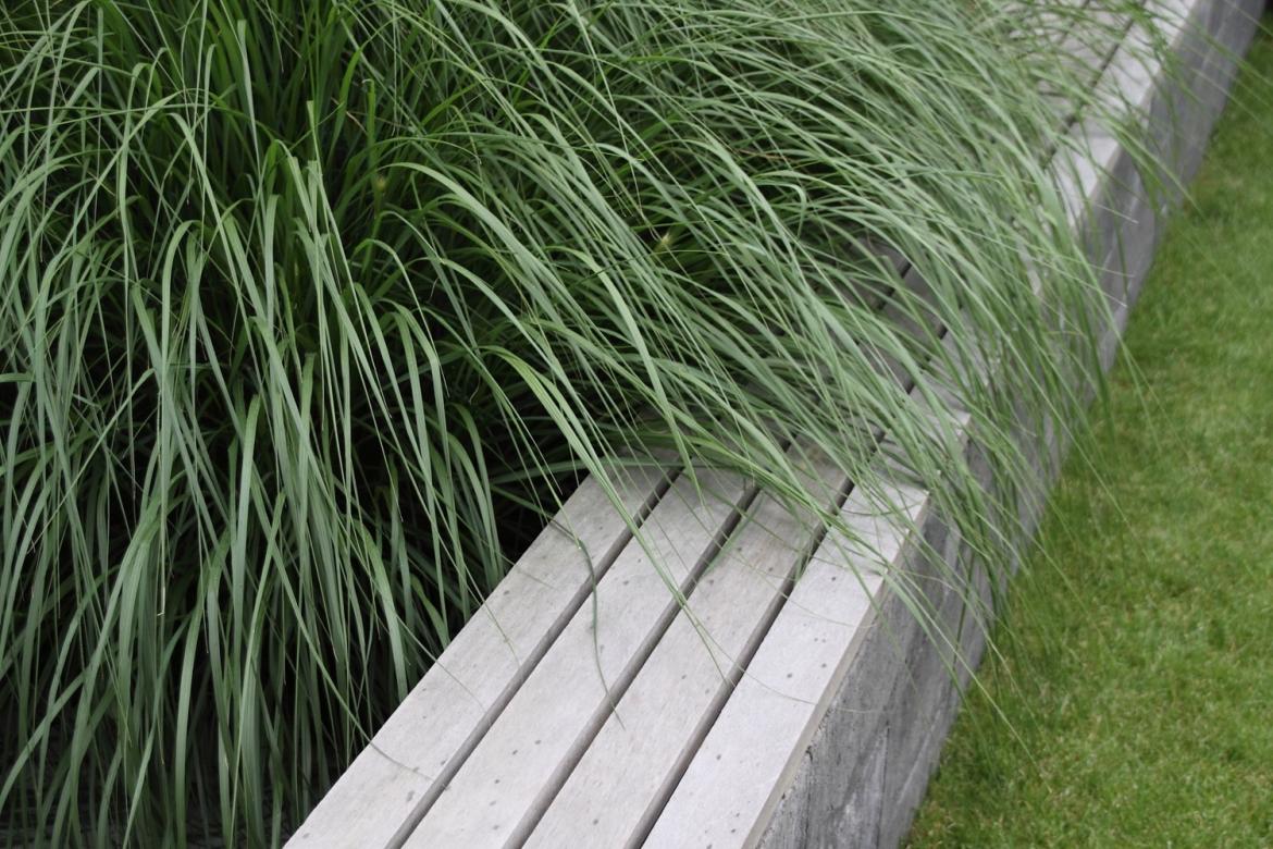 IMG 4809 Bartelds Hoveniers