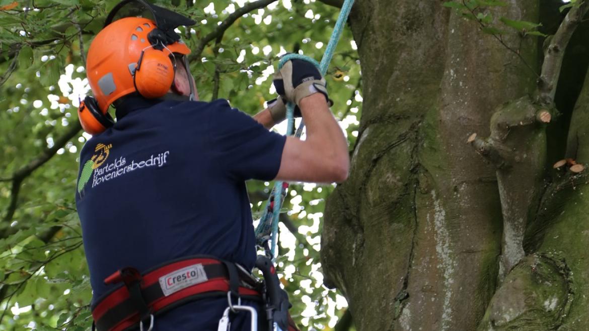 Boomverzorging 9
