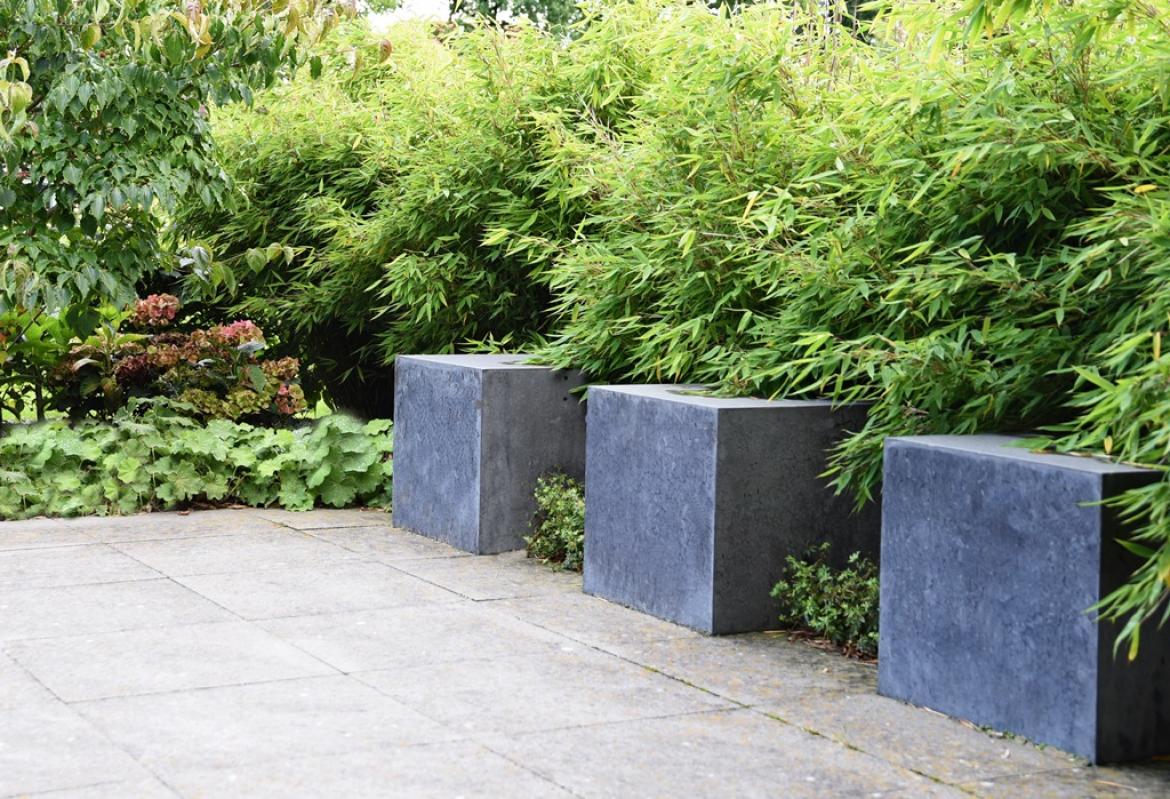 Moderne tuin Eelderwolde 1