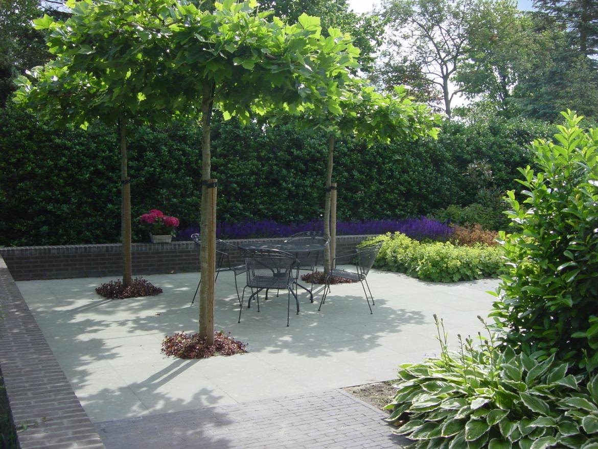 Moderne tuin Haren 1