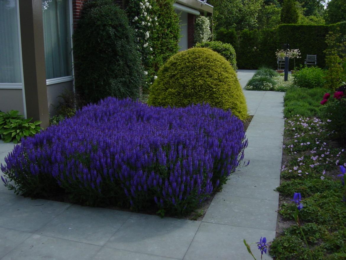 Moderne tuin Haren 4