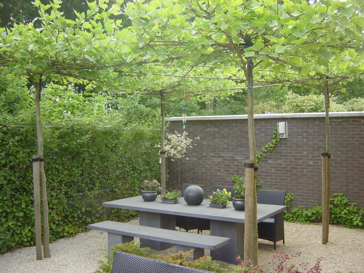 Strakke tuin Assen 2